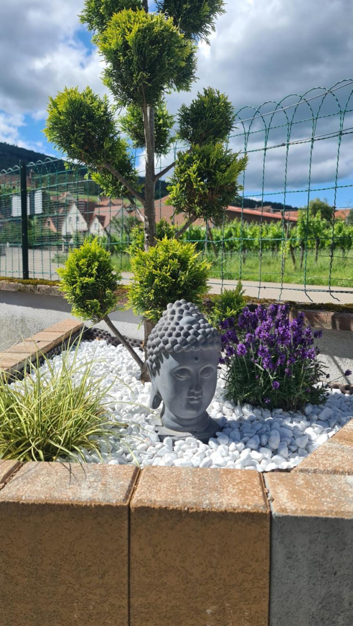 Au Jardin D'Edel Gites Centre Alsace Dieffenthal Exterior foto